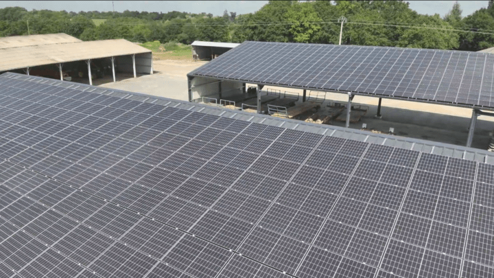 Panneaux solaires et techniciens travaillant dans un champ au coucher du soleil.