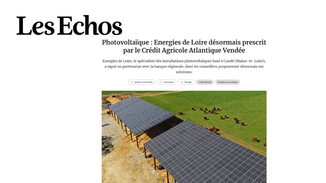 Panneaux solaires photovoltaïques d'Energies de Loire avec des vaches au pâturage